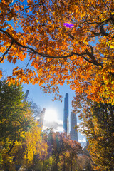 The sun illuminates autumnal leaf color trees in Central Park from among the Ultra-luxury high-rise residential skyscraper in Billionaires’s Row on November 2021 at New York City NY USA.