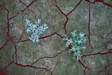 conceptual photography of the war on Ukrainian soil. The cracked earth oozes blood. Visualization...