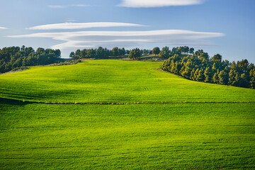 Fototapeta na wymiar green field with lenticular clouds.