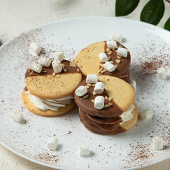 a wide shot of a dessert on a white plate sprinkled with chocolate chips and cocoa, a sandwich of biscuits and marshmallows