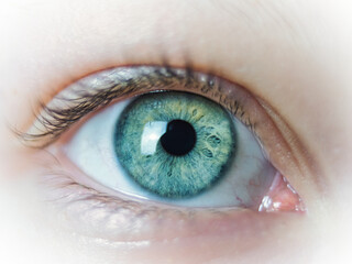 Closeup shot of a green eye - obrazy, fototapety, plakaty