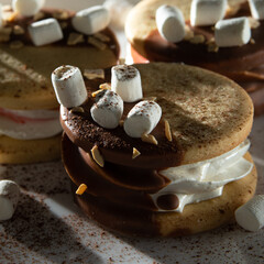 sweet sandwiches with marshmallows and cookies covered with chocolate on a white plate, contrasting light