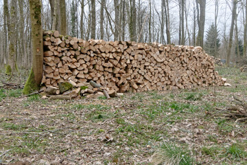 Belle meule de bois en forêt - France