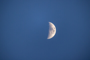 Half moon or waning moon with blue sky. The majestic moon, clear sky. High quality photo