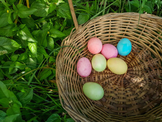 colored eggs in straw basket on grass and green forest representing Easter 
