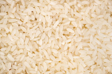 Long polished rice texture background. High quality photo