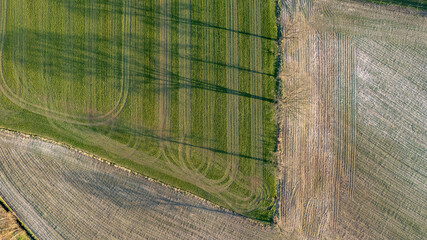 Aerial view geometric farming fields, showing a green meadow and plowed fields, captured with a drone. High quality photo