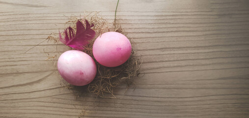 rose eggs in nest and with feather and wooden background and space for text