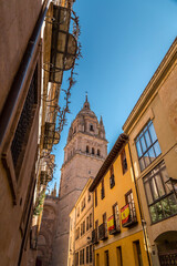The New Cathedral of Salamanca, Spain