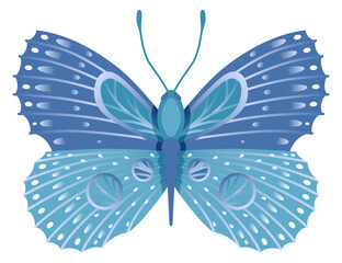 Exotic blue butterfly. Elegant wing ornament moth