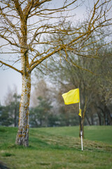 Golf course with yellow hole flag on the backgrond of green grass, trees and sky