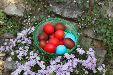 Colored easter eggs in a basket in a garden with flowers and grass