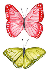 Watercolor Hand Drawn Colourful Butterflies Illustration Set