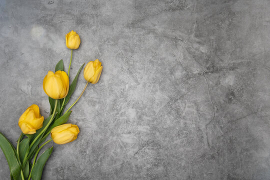 yellow tulips on gray cement background minimalism top view, easter decor,spring