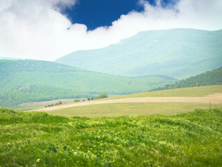 mountains spring meadow.