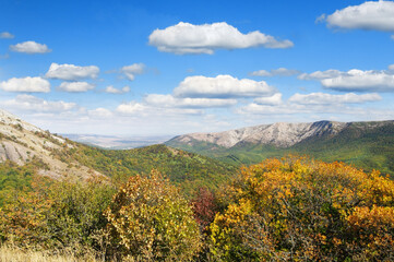 Fototapeta premium autumn mountain landscape.