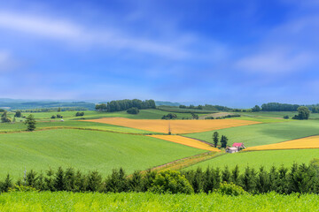 Obraz premium 비에이