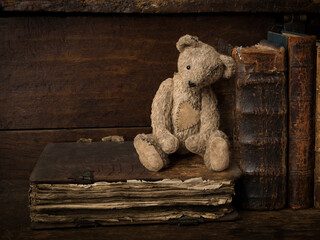 Teddy bear sitting on antique books