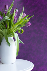 Fresh bouquet of purple tulips in a white vase on a dark purple background