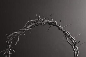 Isolated partial crown of thorns on a black background with copy space - obrazy, fototapety, plakaty