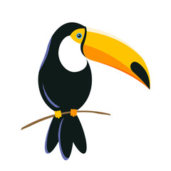 toucan on a branch. Red-billed toucan or toucan toco Ramphastos toco. Tropical bird. The great toucan isolated on white background. mascot vector illustration