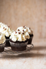 Rich chocolate cupcakes with whipped cream frosting and chocolate chips.