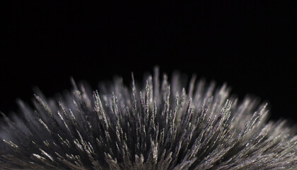 Dust reaction to the magnetic field of a strong neodymium magnet on a black background - obrazy, fototapety, plakaty