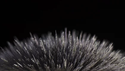 Foto op Canvas Dust reaction to the magnetic field of a strong neodymium magnet on a black background © Denous/Wirestock Creators