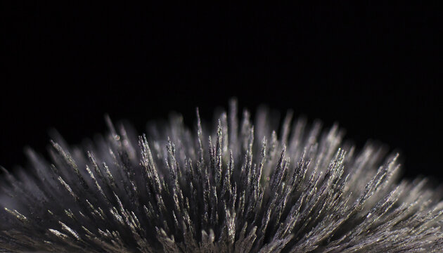 Dust Reaction To The Magnetic Field Of A Strong Neodymium Magnet On A Black Background