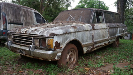old rusty car wreck with plants in the trunk