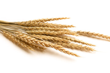 Ripe ears of wheat isolated on a white background. Top view, flat lay