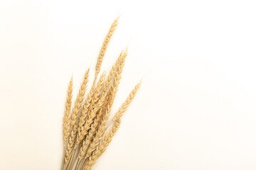 Fototapeta premium Ripe ears of wheat isolated on a white background. Top view, flat lay