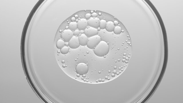 Close-up top view macro shot of gel with different sized bubbles in petri dish on light grey background | Abstract skin care gel with hyaluronic acid formulating concept