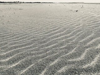 textura de arena húmeda con ondas de viento en blanco y negro
