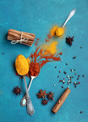 Colorful still life with different types of spices on vibrant blue background with copy space. Paprika, turmeric, cinnamon, anise, pepper and garlic close up photo. 
