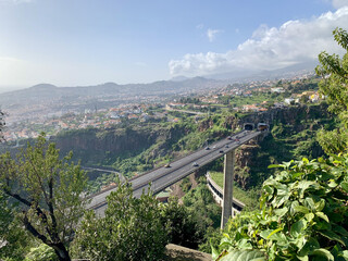 Aerial view through the greenery of the bridge with cars driving through the tunnel