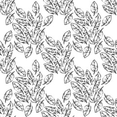 vector seamless black and white pattern with hand drawn banana's leaves