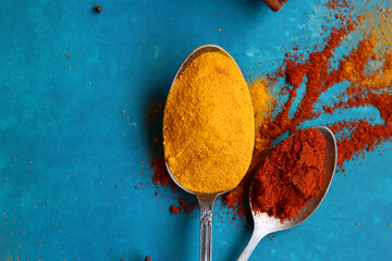Beautiful composition with different aromatic spices on blue background. Spicy meal ingredients...