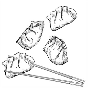 Asian dishes. Hand-drawn illustration of Mandu. Vector. Ink drawing. 