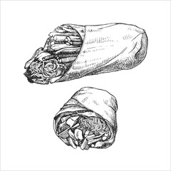 Asian dishes. Hand-drawn illustration of Spring Rolls. Vector. Ink drawing. 