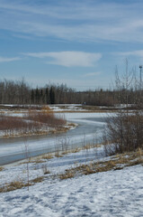 Pylypow Wetlands on the Last Day of Winter