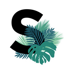 tropic leaves, palm leaf letter s