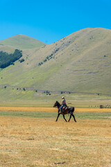 CASTELLUCCIO DI NORCIA, ITALY, 26 AUGUST 2021 Horses in the valley of Umbria