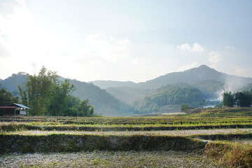countryside landscape of empty rice fields and earthen dyke with beautiful view of mountains and bright blue skies in Northern Thailand. copy space.	