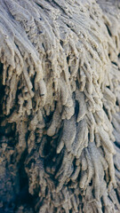 Sand ridges formed by water in Arcachon, France/Crêtes de sable formées par l'eau à Arcachon, France