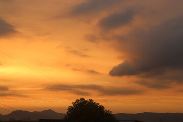 Mesmerizing scene of a sunset orange sky over a green tree