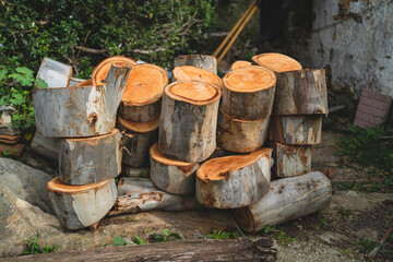 tocones de madera apilados en  el suelo