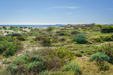 Fototapeta na wymiar Regional Park of the salt flats and sandbanks of the Mar Menor. Murcia. Spain