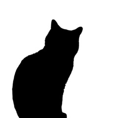 sitting cat, silhouette on white