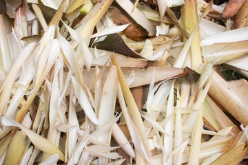 nature food abstract background, bamboo shoots cut trash from young bamboo